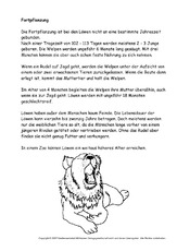 Löwe-Text-3.pdf